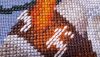 20231118_214924.thumb.jpg.e458f0dd0f65da6cef04eddfc7c8c94a.jpg