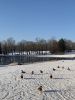 2107085542_2023-11-1712-15-11.thumb.JPG.e84226ebb8bcb7c3eb461bbbe9ff5007.JPG