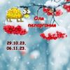 235311379_15jpeg.thumb.jpeg.d1a95d7cc5aefe86d87fba41ffe4ae79.jpeg