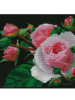 919218690_(2).thumb.png.5e537cb33acb81df363adb04873ff4a7.png