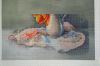 DSC06952.JPG.971b0efa0daabf29acc6e84b80713cfb.thumb.jpg.3ddb9c0d3b5bfae7c3bed0a7afd5340c.jpg