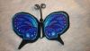 DSC_0478.thumb.JPG.36e3fff978da3a417c0deb7f61aa73cb.JPG