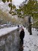IMG-20231028-WA0000.thumb.jpg.dba4db0dcbf2fb3c6c7f0878587a8996.jpg