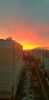 IMG-20231030-WA0000.thumb.jpg.45602966526582a6b5aeed0e2e9d64fb.jpg