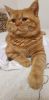 IMG-20231103-WA0060.thumb.jpg.5ef99eb10d0de7e7f139c031fbeef6c6.jpg
