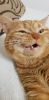 IMG-20231103-WA0061.thumb.jpg.8994bbcf59a45a436eca4c42af18bab5.jpg