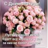 IMG-20231126-WA0002.thumb.jpg.a358558a8e9c7744a2505c0542bd29f7.jpg