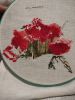 IMG20230924231016.thumb.jpg.6894adced85f60bc1b552578e4d61bde.jpg