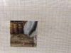 IMG20231109203312.thumb.jpg.ecd9be78a356bf7772eb49cadc8c0cce.jpg