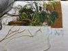 IMG_1406.jpeg
