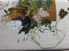IMG_1466.jpeg