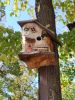 IMG_20230923_133417.thumb.jpg.f70c3d0913f927f9b36396d75a560a10.jpg