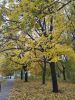 IMG_20231025_113859.thumb.jpg.f5f3a35512b53ebd312856edec4926d0.jpg