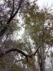 IMG_20231027_093857.thumb.jpg.c658296c81272f978da7031d153dcc70.jpg