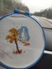 IMG_20231029_113134.thumb.jpg.19054fce916efb6f9e4b72226bbcb5a9.jpg