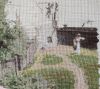 IMG_20231101_103821.thumb.jpg.c57f75dc18344ae2450cdec31bf566de.jpg