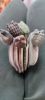IMG_20231104_095428.thumb.jpg.7334521d82d32789ae9996246e1bbd79.jpg