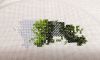 IMG_20231112_215430.thumb.jpg.79f2e25ca6440ee8f63ee5a1a9333171.jpg