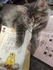 IMG_20231120_095742.thumb.jpg.c6607eead12426bd1570921fba50e926.jpg