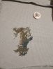 IMG_20231120_205028.thumb.jpg.e72518f59023be86fba4dbc4226ded7b.jpg