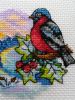 IMG_20231126_120103.thumb.jpg.e505b86b382d1e2a6655db1a950ca21d.jpg