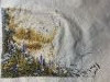 IMG_6658.jpeg