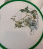 IMG_7172.thumb.jpeg.b4a2094ad7f737a4bdddd2060b6b17c3.jpeg