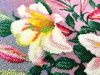vv_KS2mzqe4.thumb.jpg.68a055b9a88d15a744b3b287957c0a6b.jpg