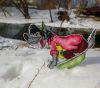 Волк в тазу﻿, Надежда Григорьева