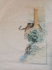 1020486656_.thumb.jpg.a0a16c2589a0a5d0bd04946a815ff1d5.jpg