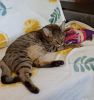 1190176492_.thumb.jpg.db50a0ad89ce2ca87c1798bb6f4ecb57.jpg