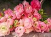 1210484831_.thumb.jpeg.02985f2f8250deac33dcaa2c77c2bdae.jpeg
