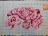 1430634918_.JPG.5dbbaabbe560b0bd350ded067373cfdb.thumb.jpg.afcb85d22347fa64abb1c952753f22e0.jpg
