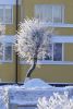 1702157241413.thumb.jpg.337be4d1a93eab3bdae29ed7d1ad6c1e.jpg