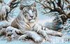 18345.thumb.jpg.210efed0f023edf175a4fca032a29e71.jpg