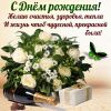 1916874487_.thumb.jpg.7e30e8729fecfee60cb9110e7985c7b9.jpg