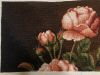 2.thumb.jpg.bd855bb1fd643d3acc667fd5f9e0ebd2.jpg