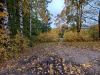 20231021_094836.thumb.jpg.042a03aa5e278d30881ed407a0f010df.jpg