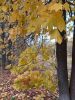 20231021_095019.thumb.jpg.a124c48bf51ab32c6ab9949a5f1beca5.jpg