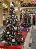 20231211_144836.thumb.jpg.797886ce109670f6250e174a610c04f3.jpg?1702372707296