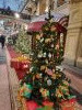 20231211_145115.thumb.jpg.214c397b5fd32496bad2cdac5e9fa046.jpg?1702372783332