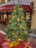 20231211_145123.thumb.jpg.2bef4245e92ee24aa7747cf850cf8c19.jpg?1702372789517