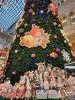 20231211_145917.thumb.jpg.e86e04bfd3afabc321c96534d27165c2.jpg?1702373013637