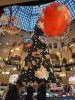 20231211_151308.thumb.jpg.fc7102b9b7977c6bfecf744f35b37fe5.jpg?1702373017220