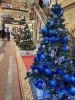 20231211_151624.thumb.jpg.28e17d8e2e0c0b4310be88828e6be525.jpg?1702373043735
