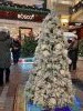 20231211_151643.thumb.jpg.ec82e086b1c5752a34e6e518f4bc1ede.jpg?1702373055611