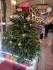 20231211_151654.thumb.jpg.b81c63b20b952e17e71c30cd3bc06647.jpg?1702373061310