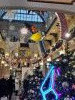 20231211_151706.thumb.jpg.c19de243ac9f04ff60fee6bd081bb1a5.jpg?1702373076216