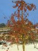 20231211_161557.thumb.jpg.01b5cb061cdf4230ab9f025139287e25.jpg?1702374166142