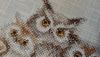 20231216_130039.thumb.jpg.8a55848a167a1a055b37e543d7d9ff97.jpg